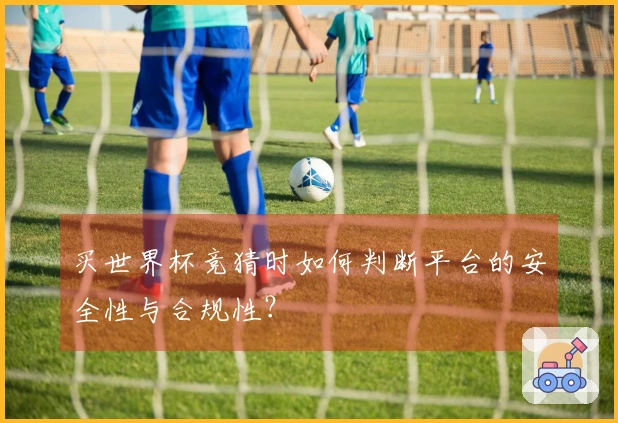 买世界杯竞猜时如何判断平台的安全性与合规性？