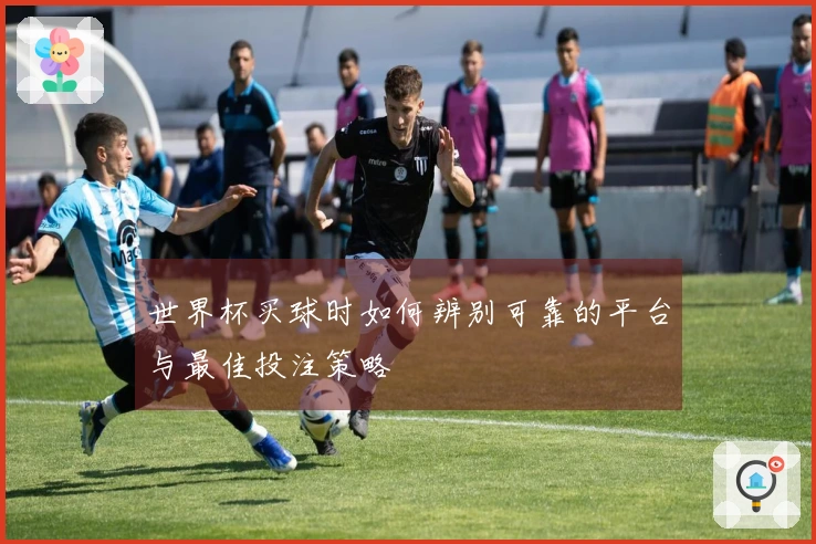 世界杯买球时如何辨别可靠的平台与最佳投注策略
